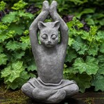 Campania Yoga Cat