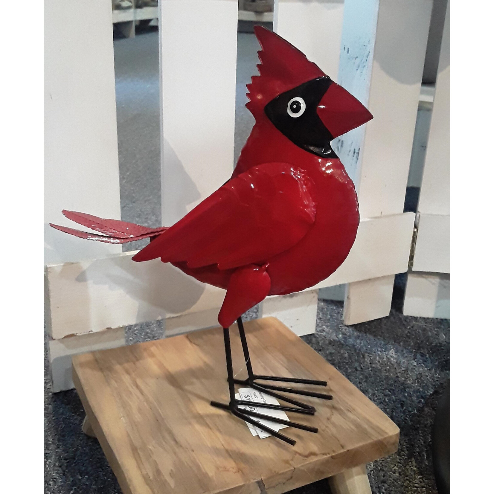 Standing Cardinal