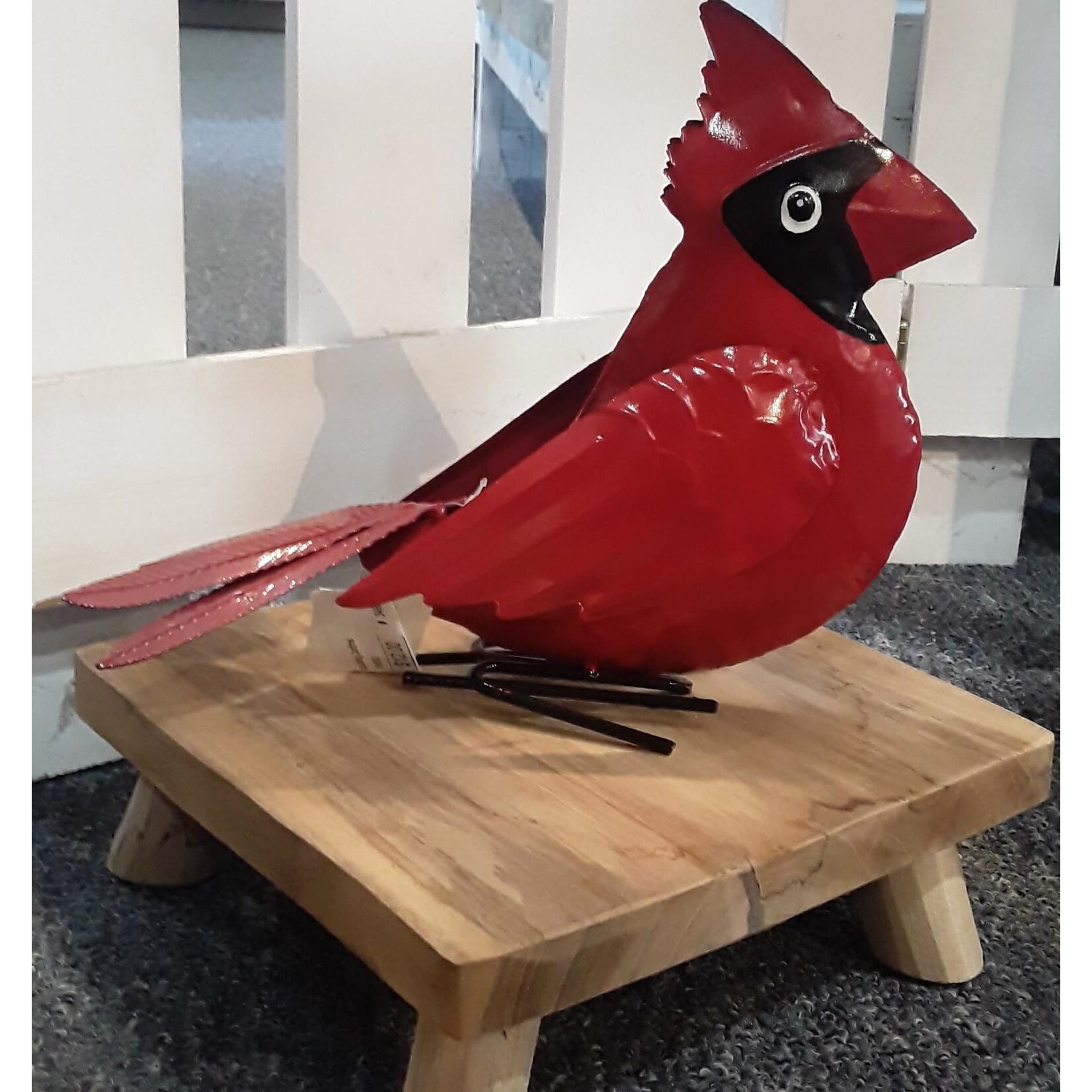 Squatting Cardinal