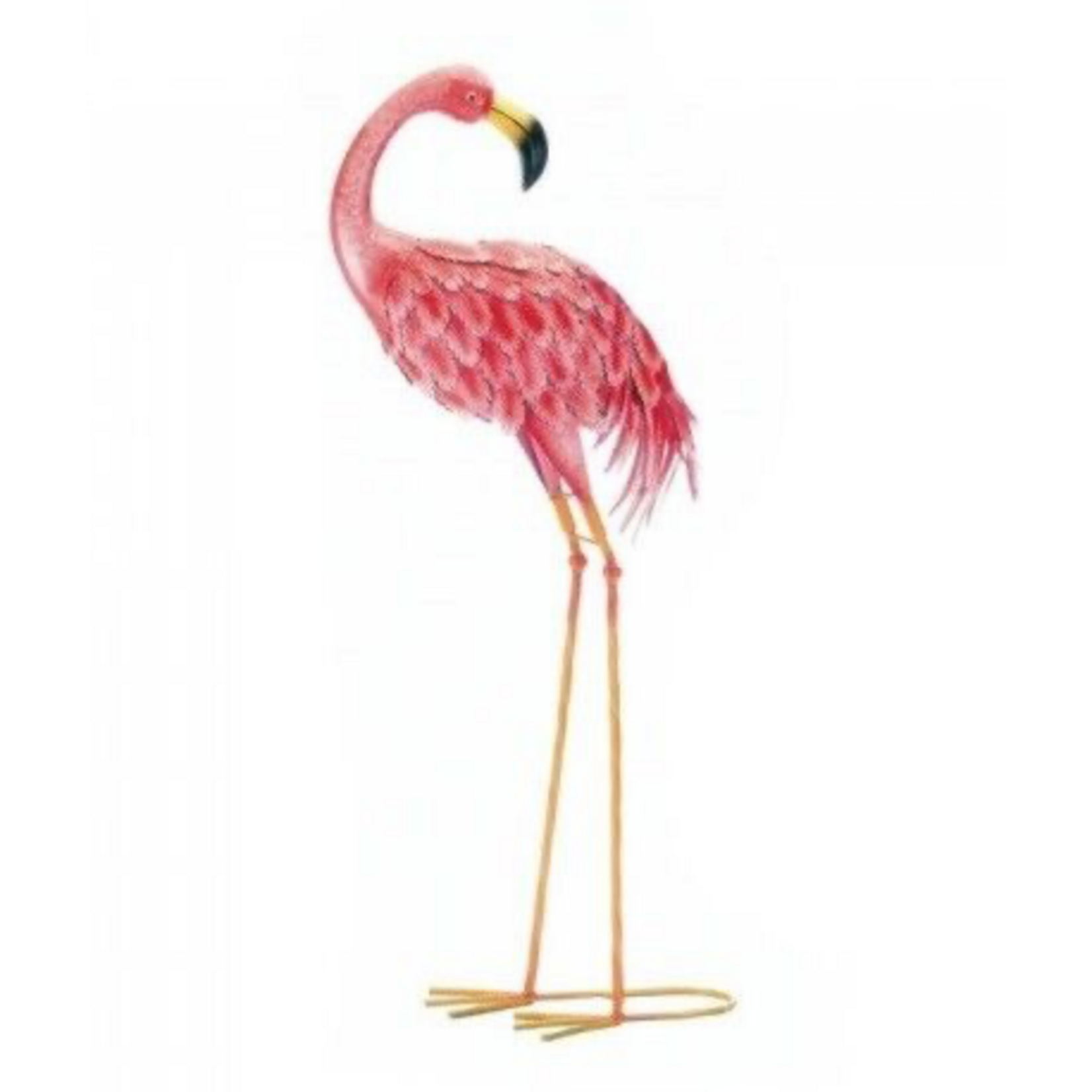 Flamingo-Standing Looking Back