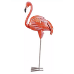 Flamingo Standing