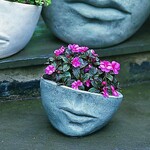 Campania Faccia Planter