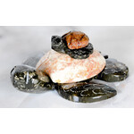 Marble Turtle 4" Mom & Baby