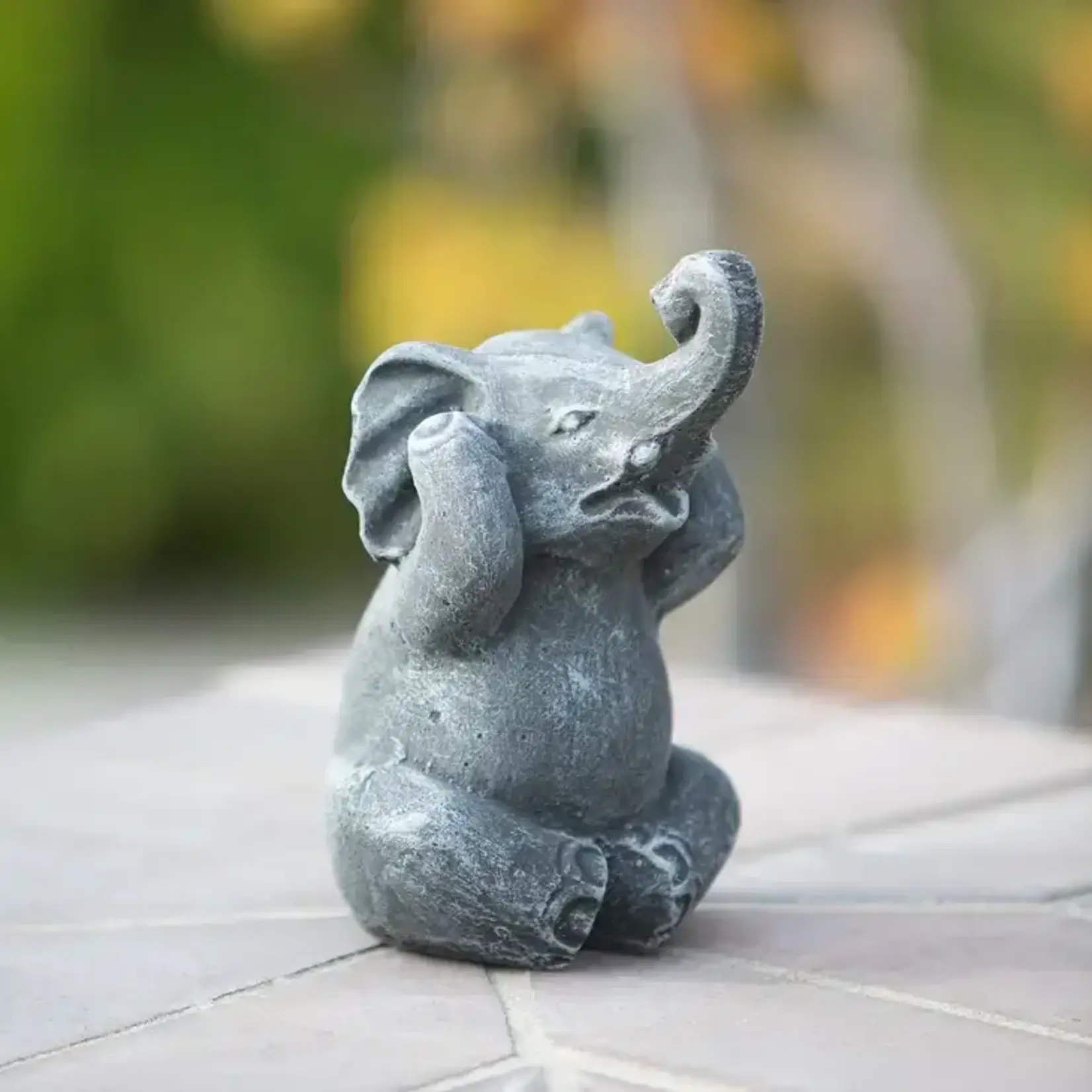 Baby Elephant - Hear No Evil! - Volcanic Ash