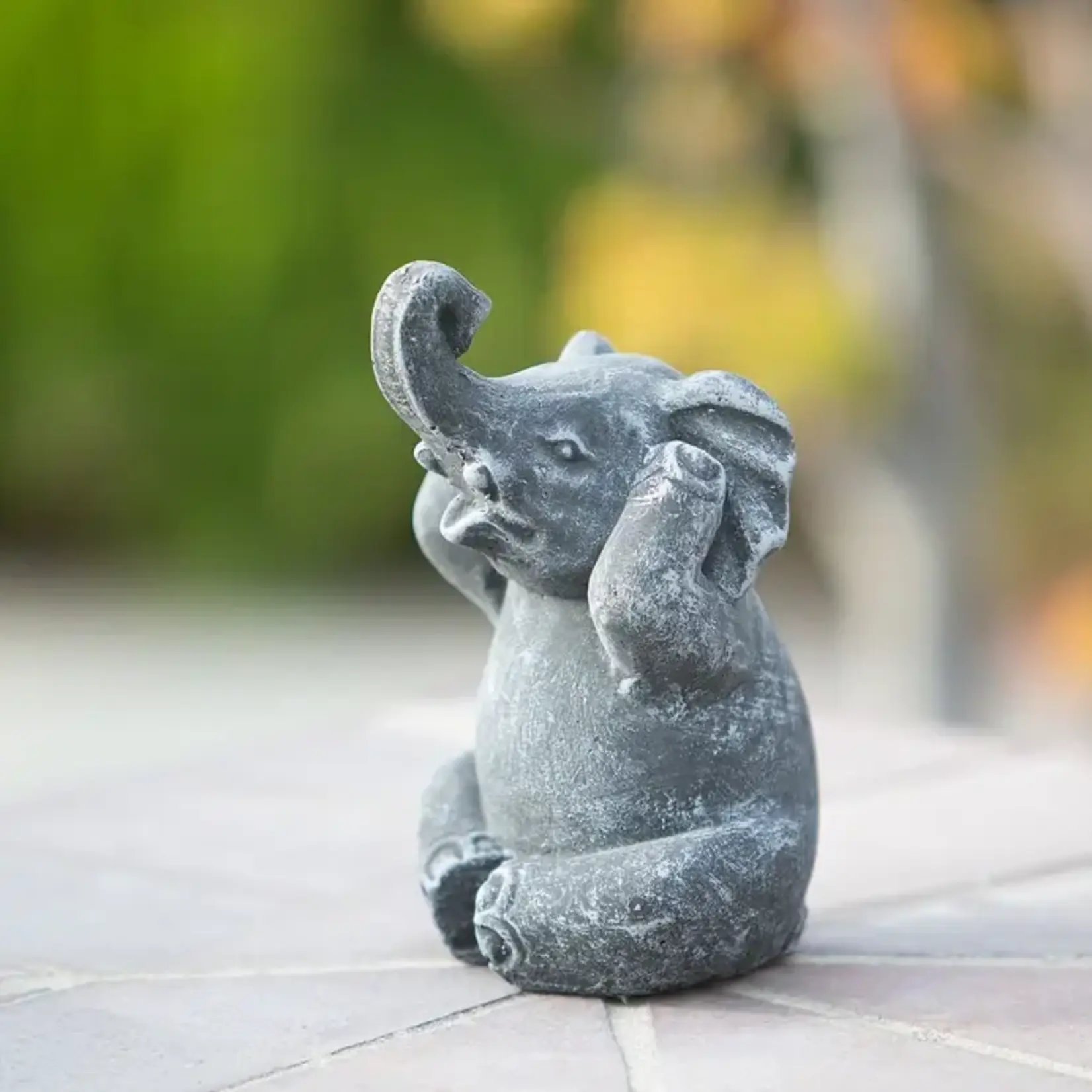 Baby Elephant - Hear No Evil! - Volcanic Ash