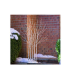 Season to Sparkle Tree LED Indoor/Outdoor Lighted