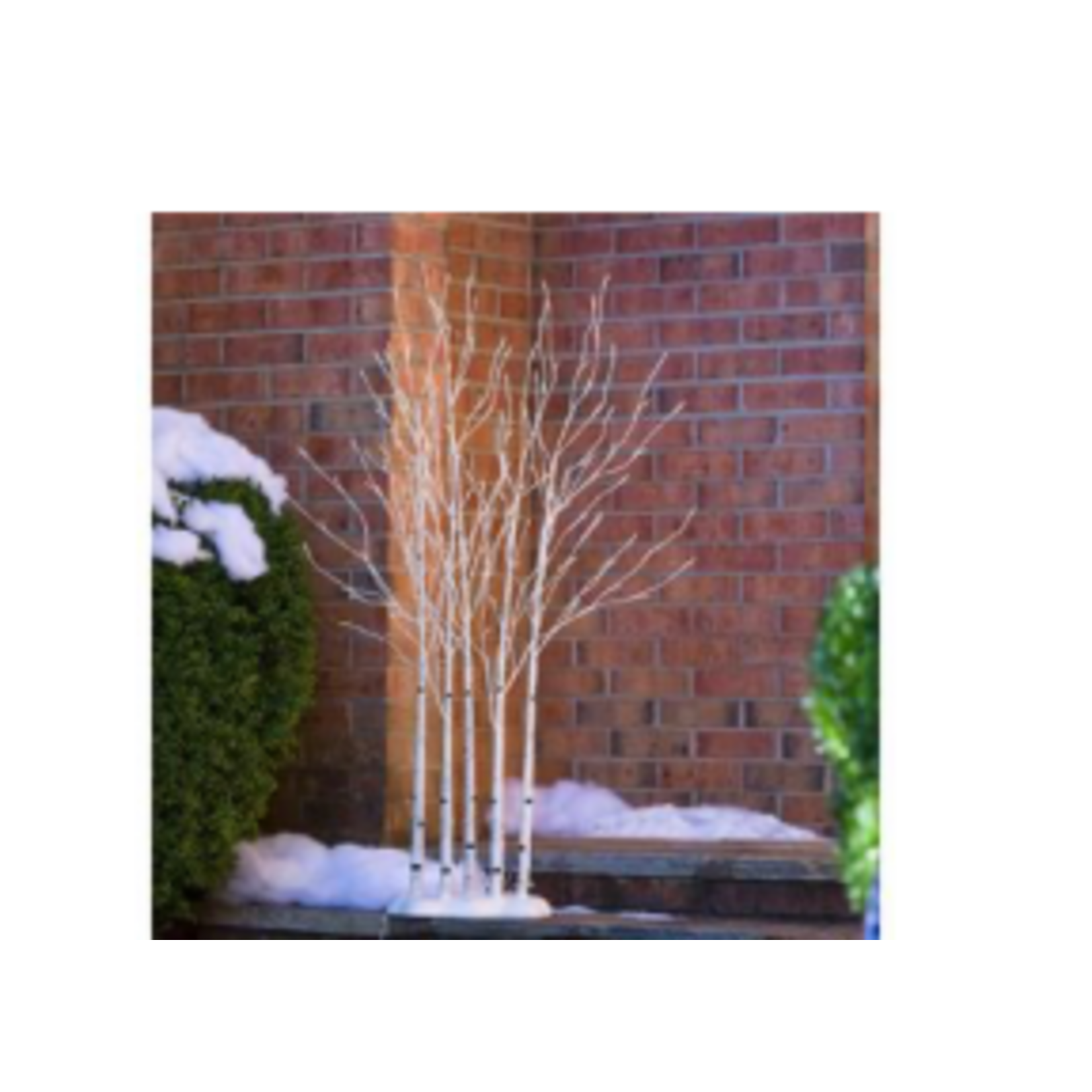 Season to Sparkle Tree LED Indoor/Outdoor Lighted