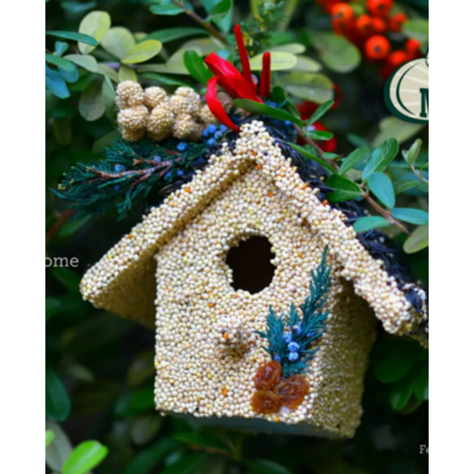 Holiday Birdie Cottage