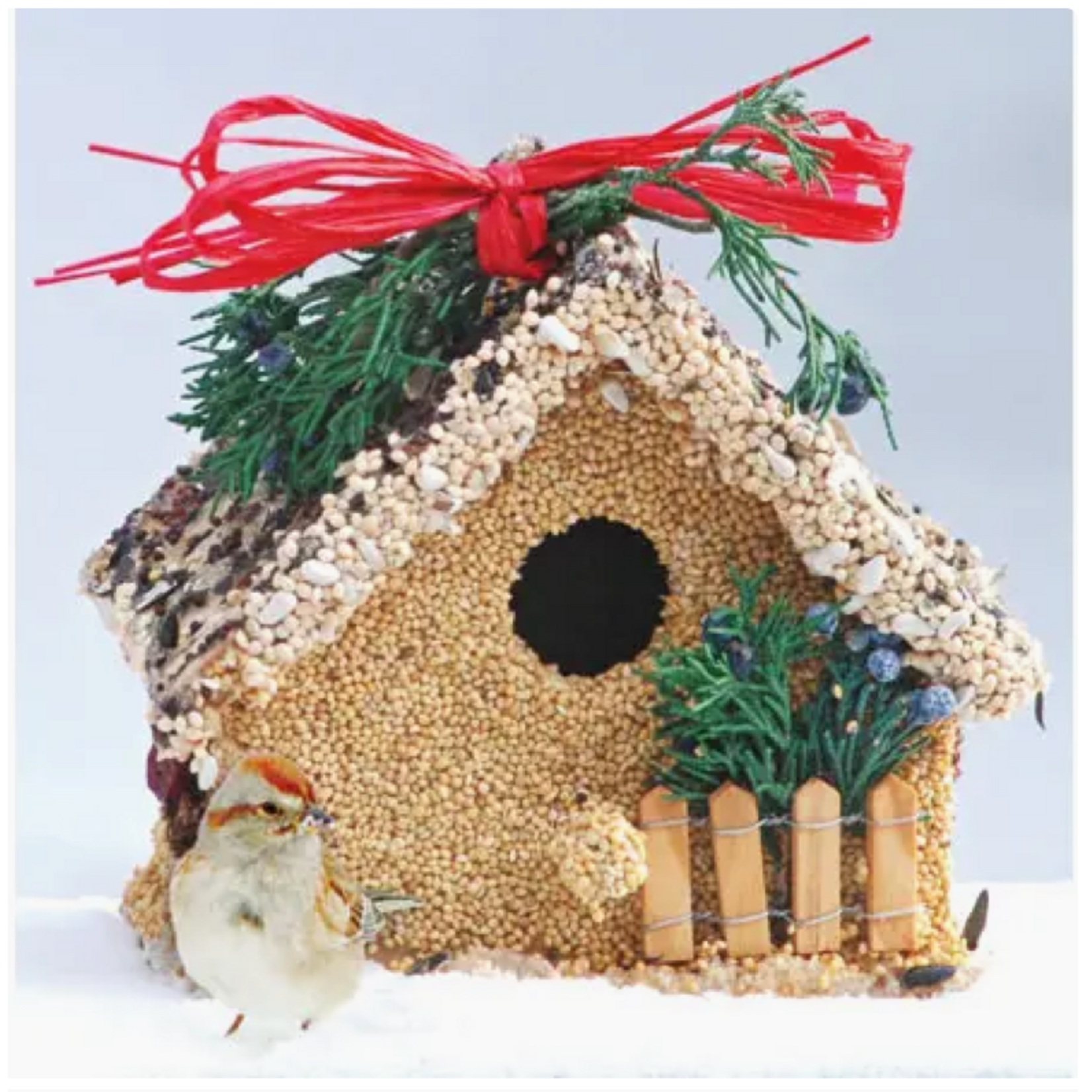 Holiday Birdie Cottage