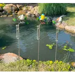 Bird Rain Gauge