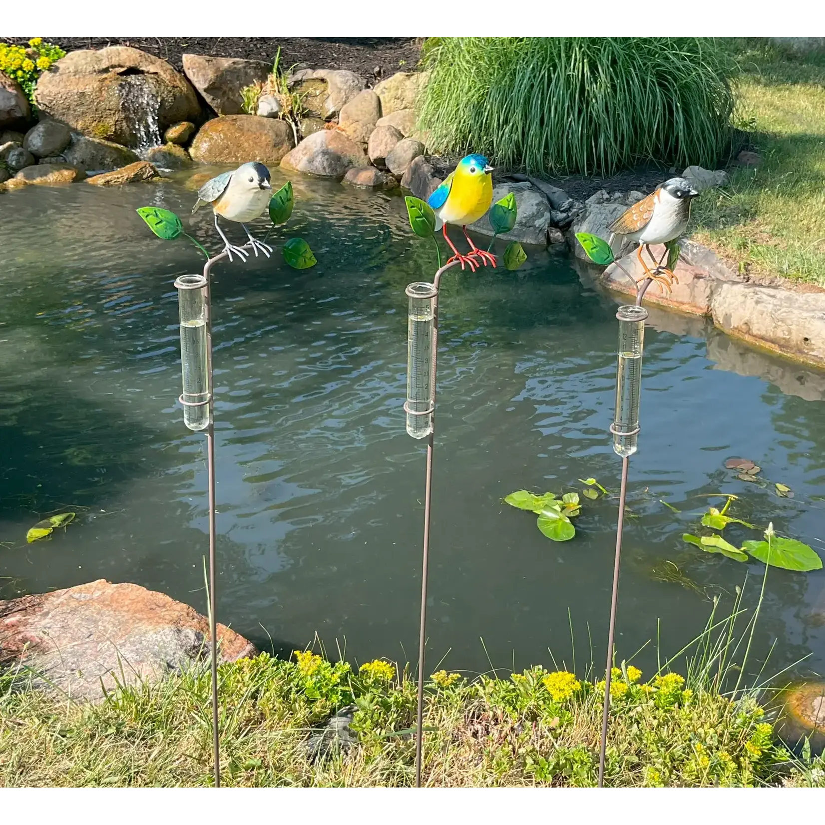 Bird Rain Gauge