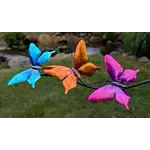 Luminous Butterfly Balancer
