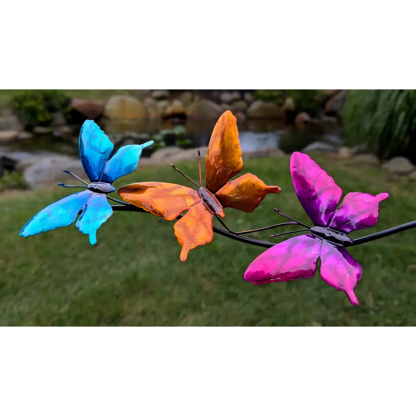 Luminous Butterfly Balancer