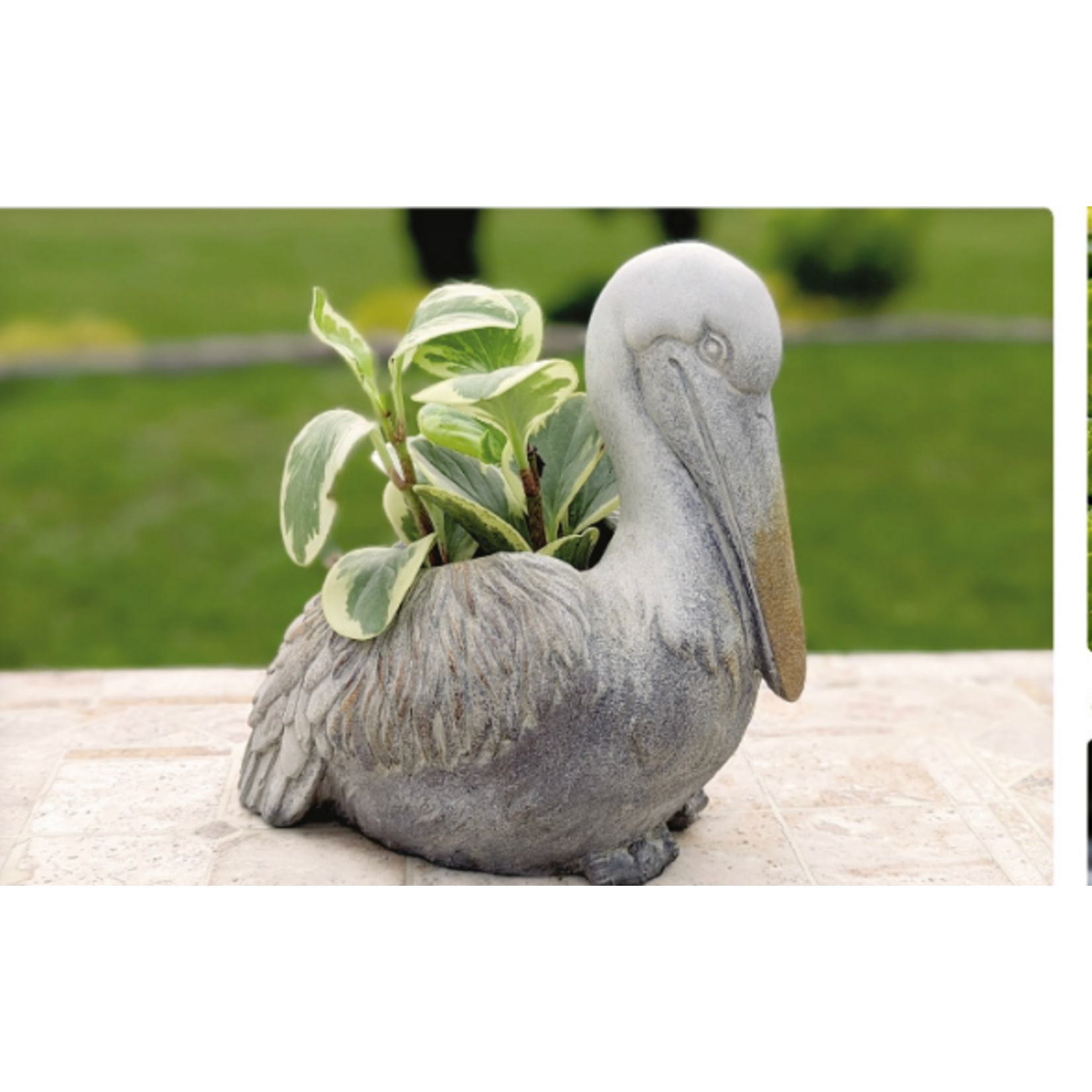 Pelican Planter
