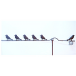 High Wire Birds + Stake