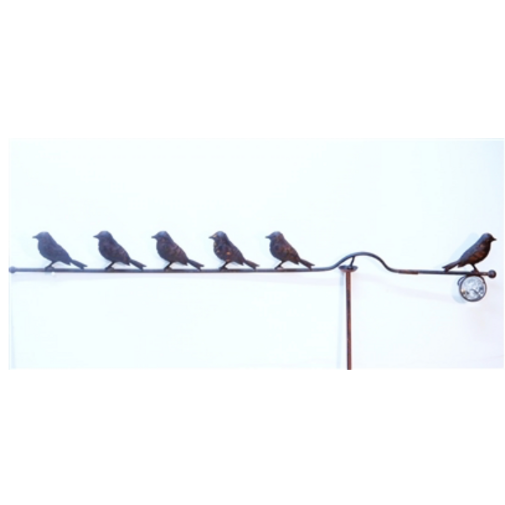 High Wire Birds + Stake