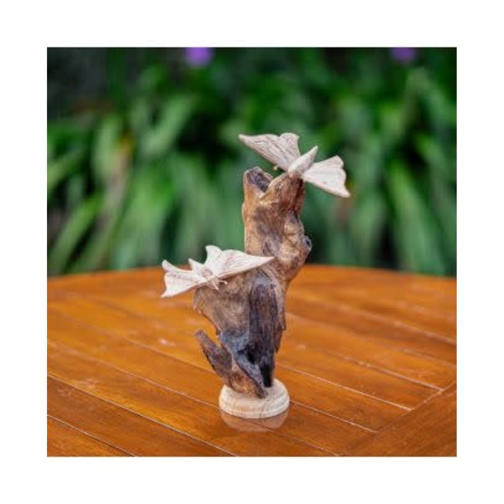 Parasite Butterfly on Tree