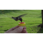 Nectar Dots Hummingbird Handheld Nectar Dots