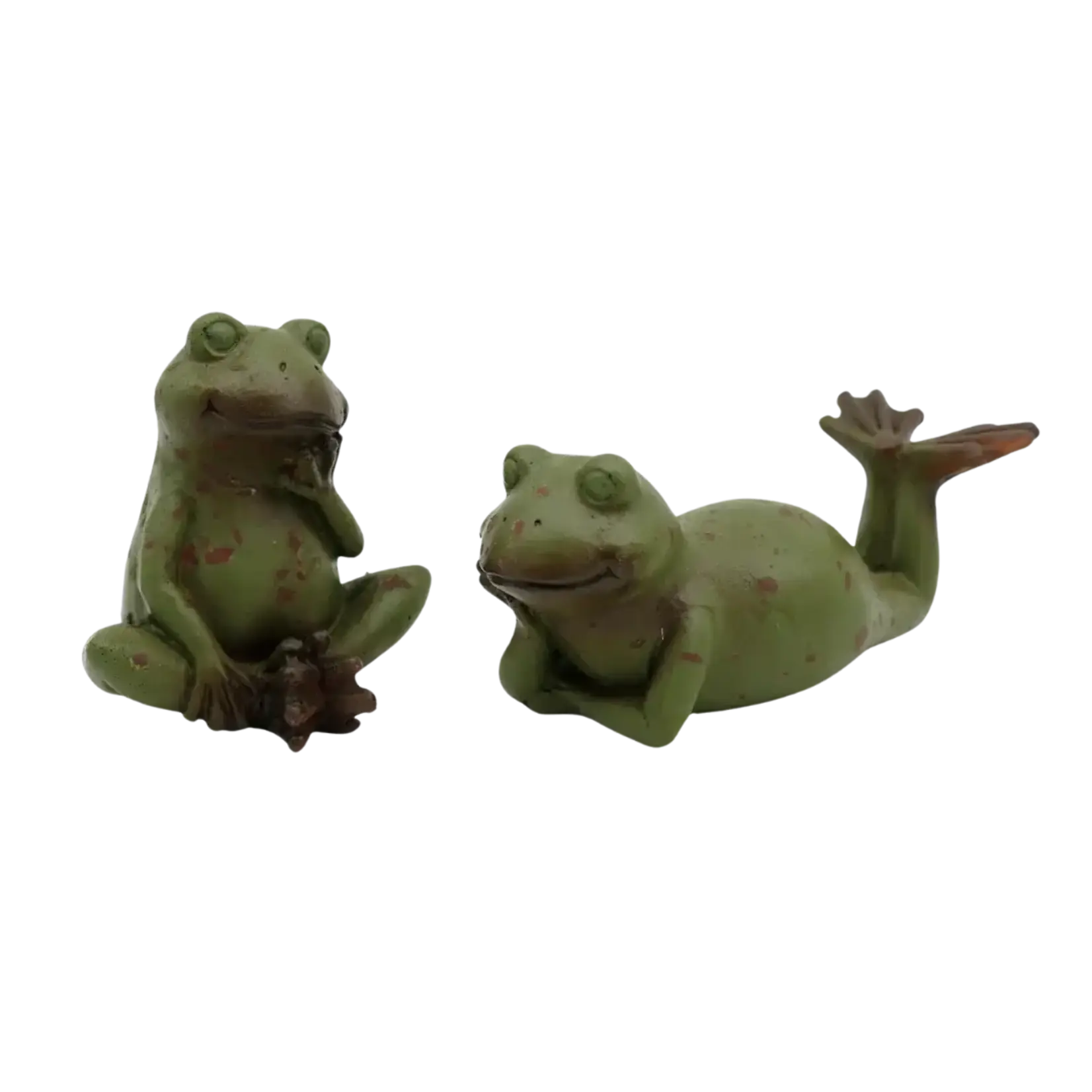 Relaxing Garden Frog