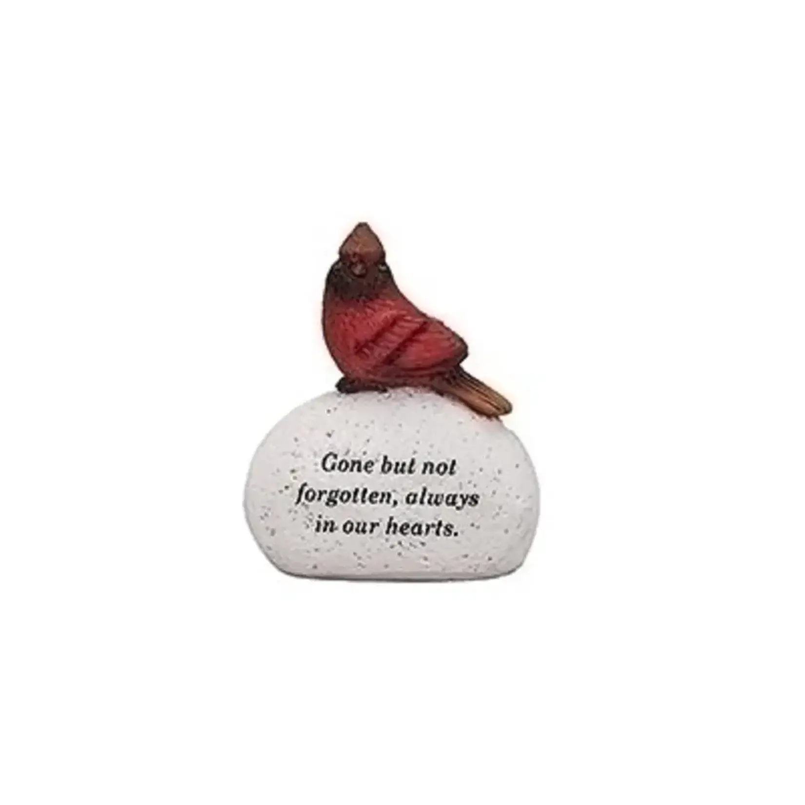 Cardinal on Stone