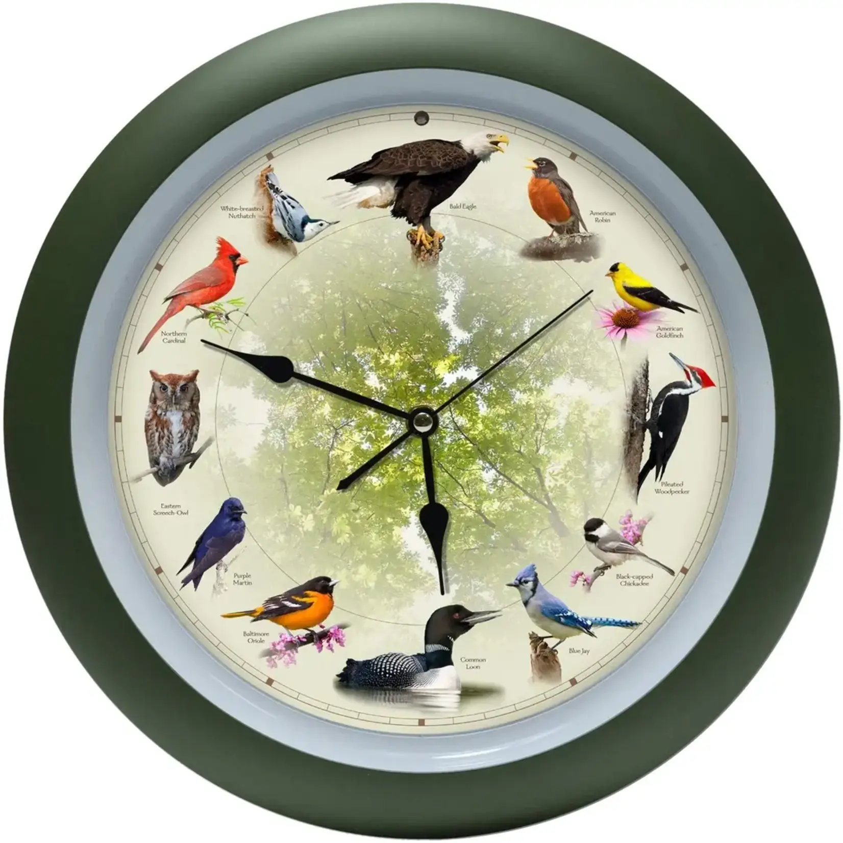 20th Anniversary Singing Bird Clock 13"-Green