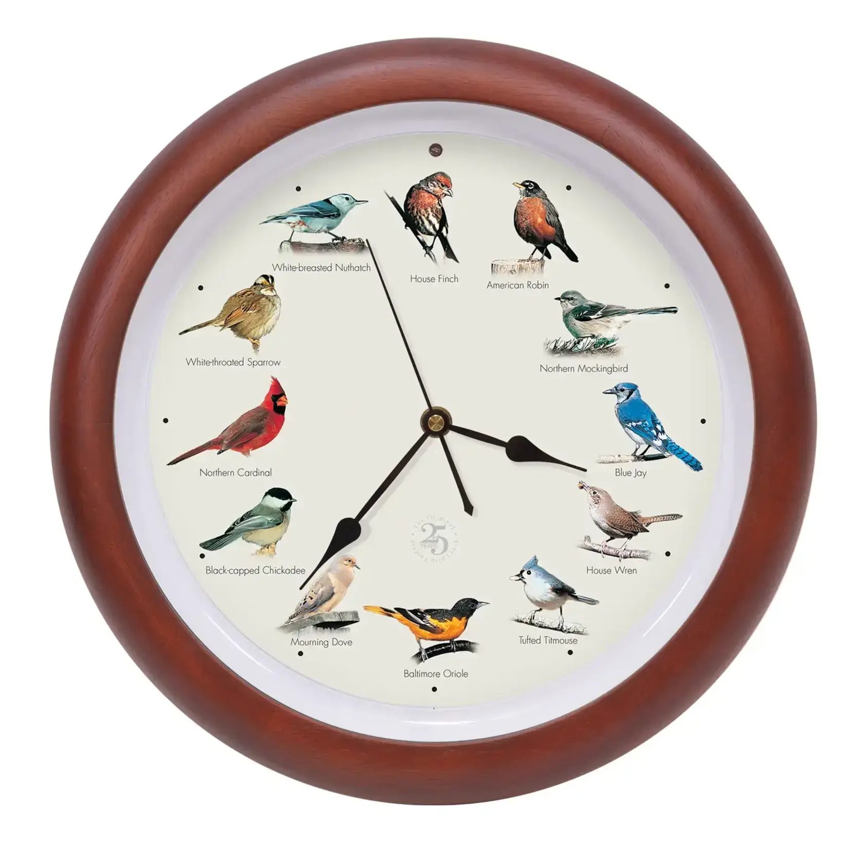 25th Anniversary Original Singing Bird Clock 13" Cherry