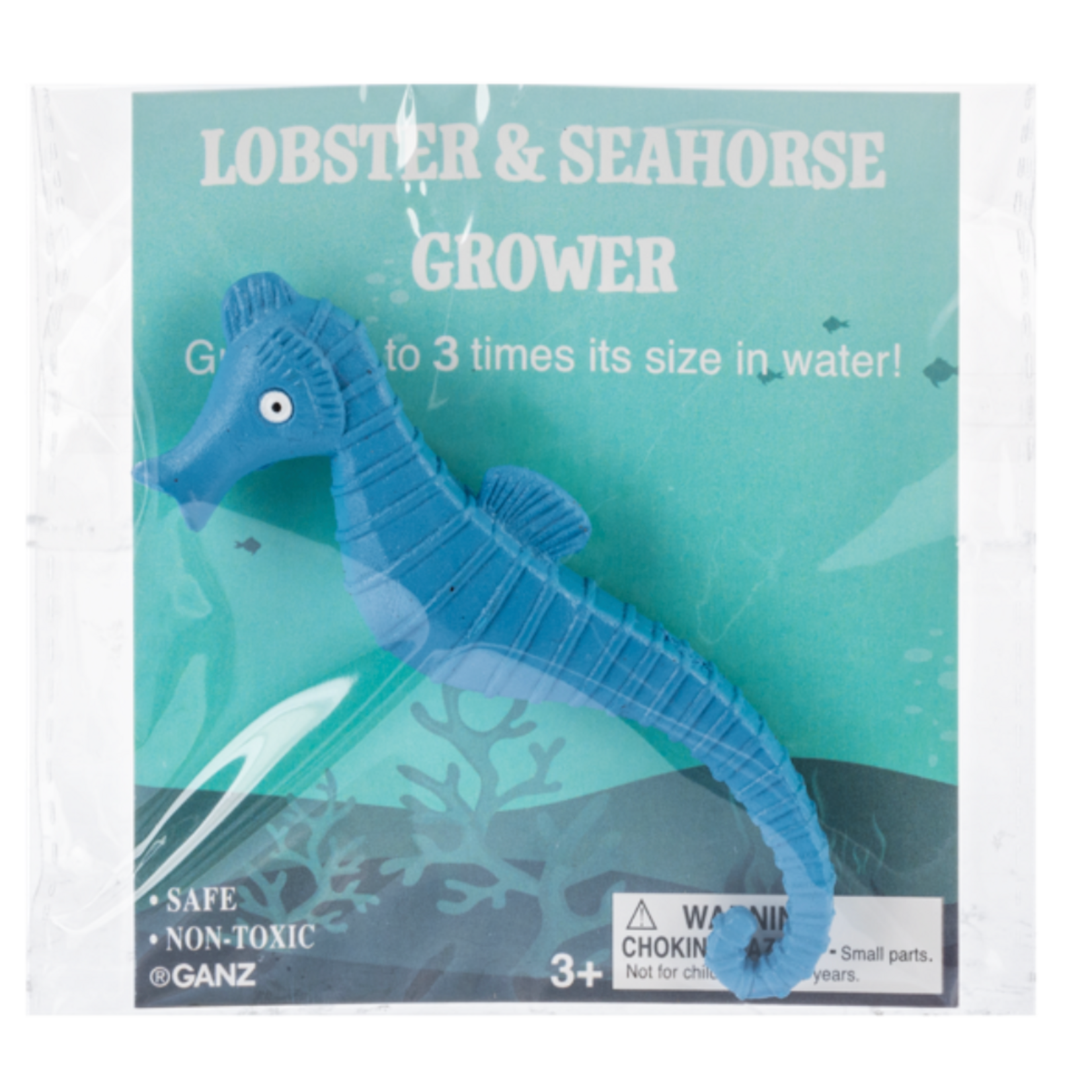 Ganz Lobster and Seahorse Growers