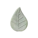 Vanilla & Sage Bath Bomb