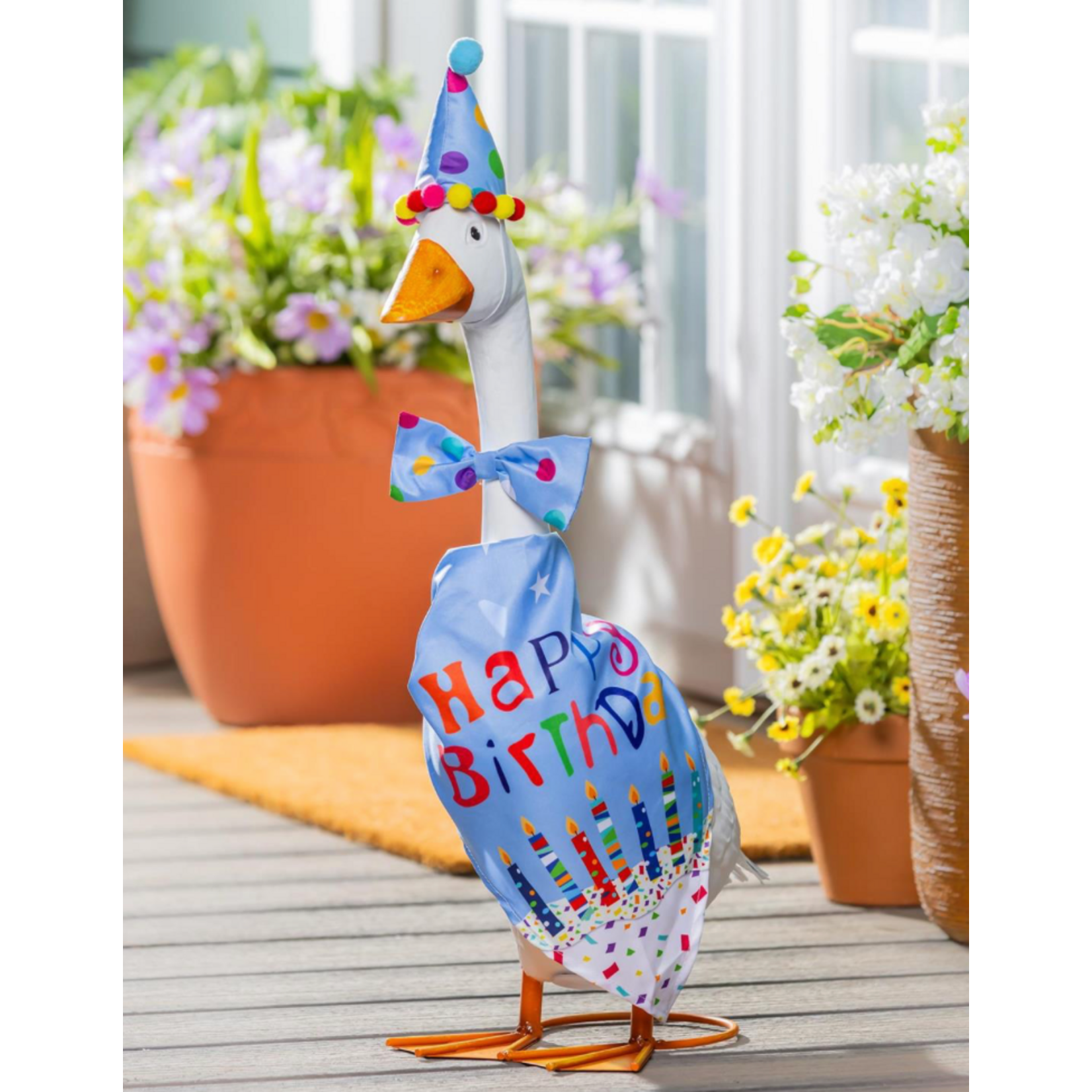 Porch Goose Outfit. Birthday Boy