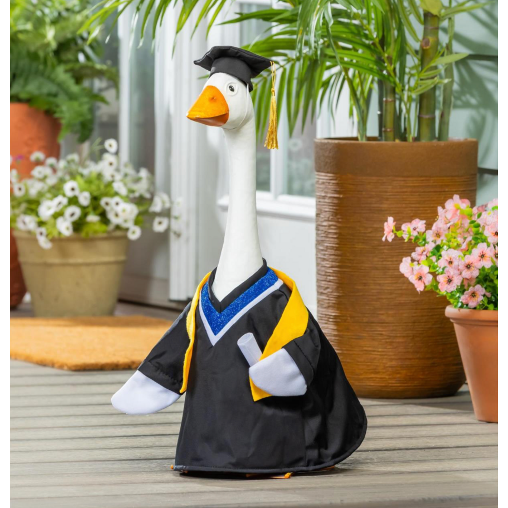 Porch Goose Outfit, Graduation Day