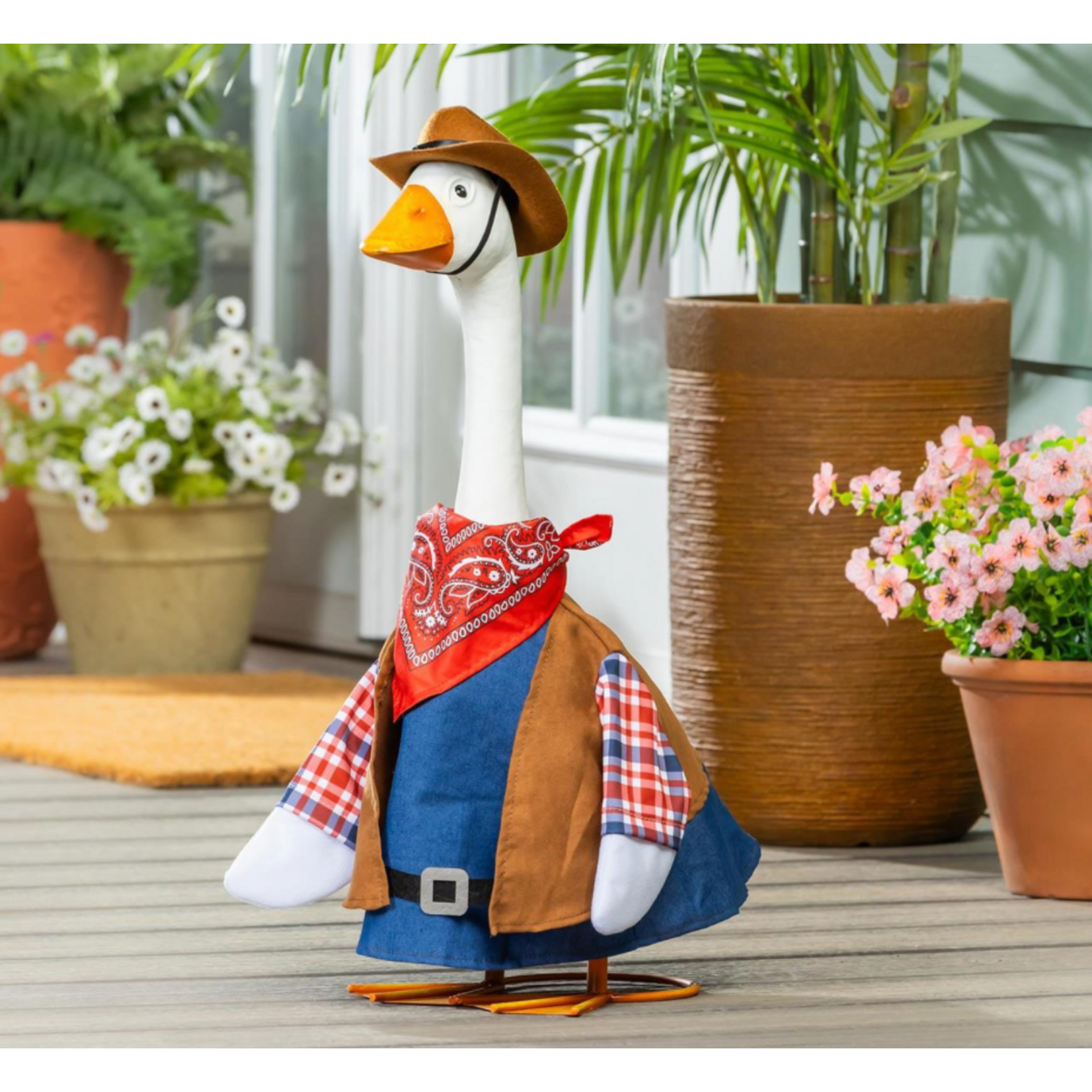 Porch Goose Outfit, Wild West