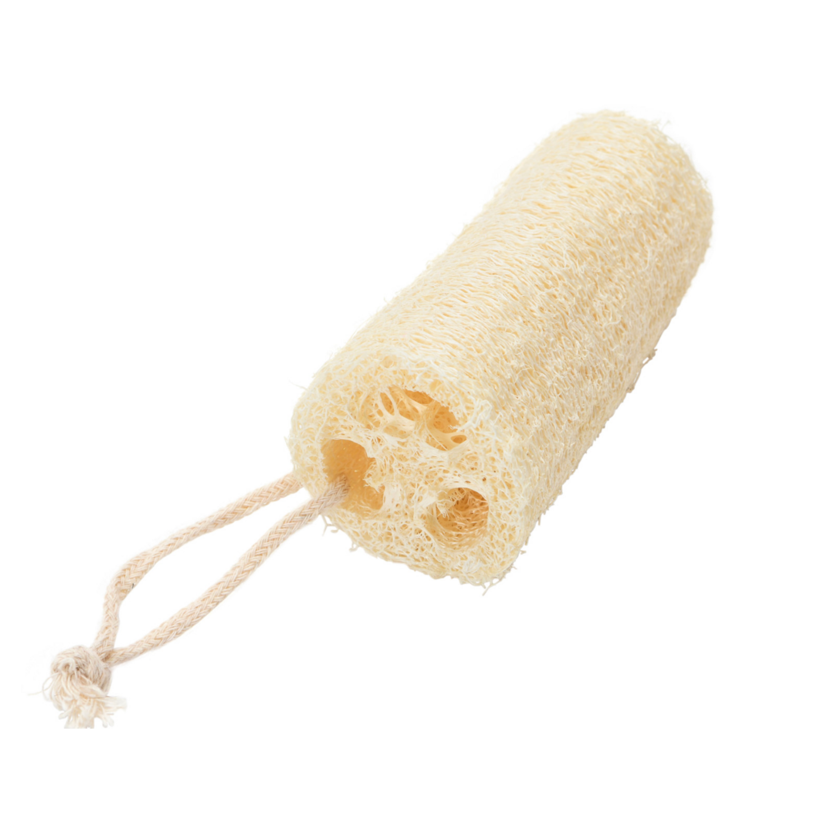 Creative Co-op Loofa Brush with Cotton Rope Hanger, Natural