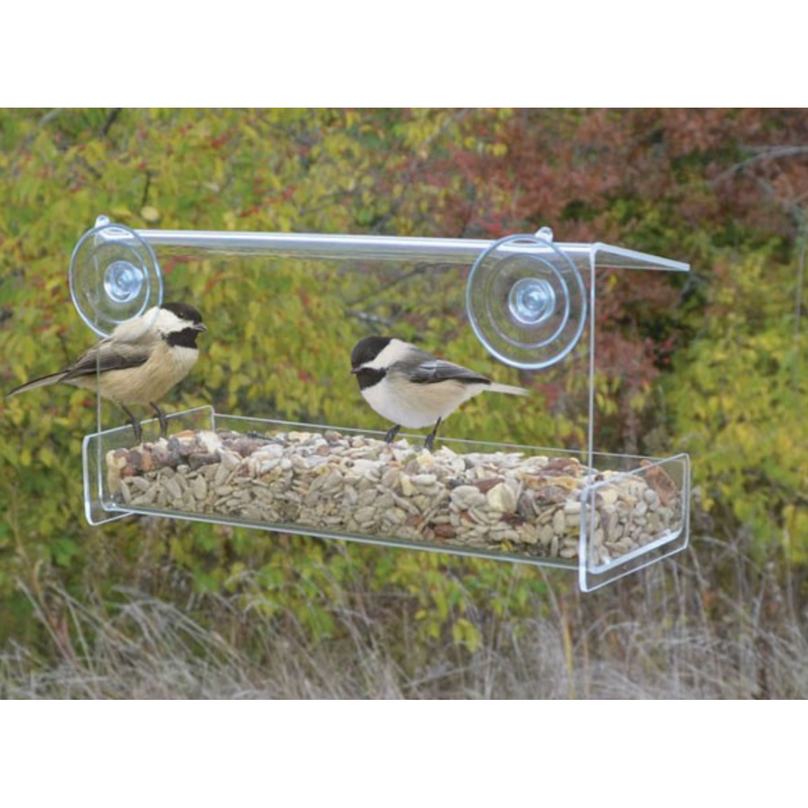 Bird Feeder Window Clear View Open Dinner