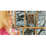 Nest View Bird House with Window Film