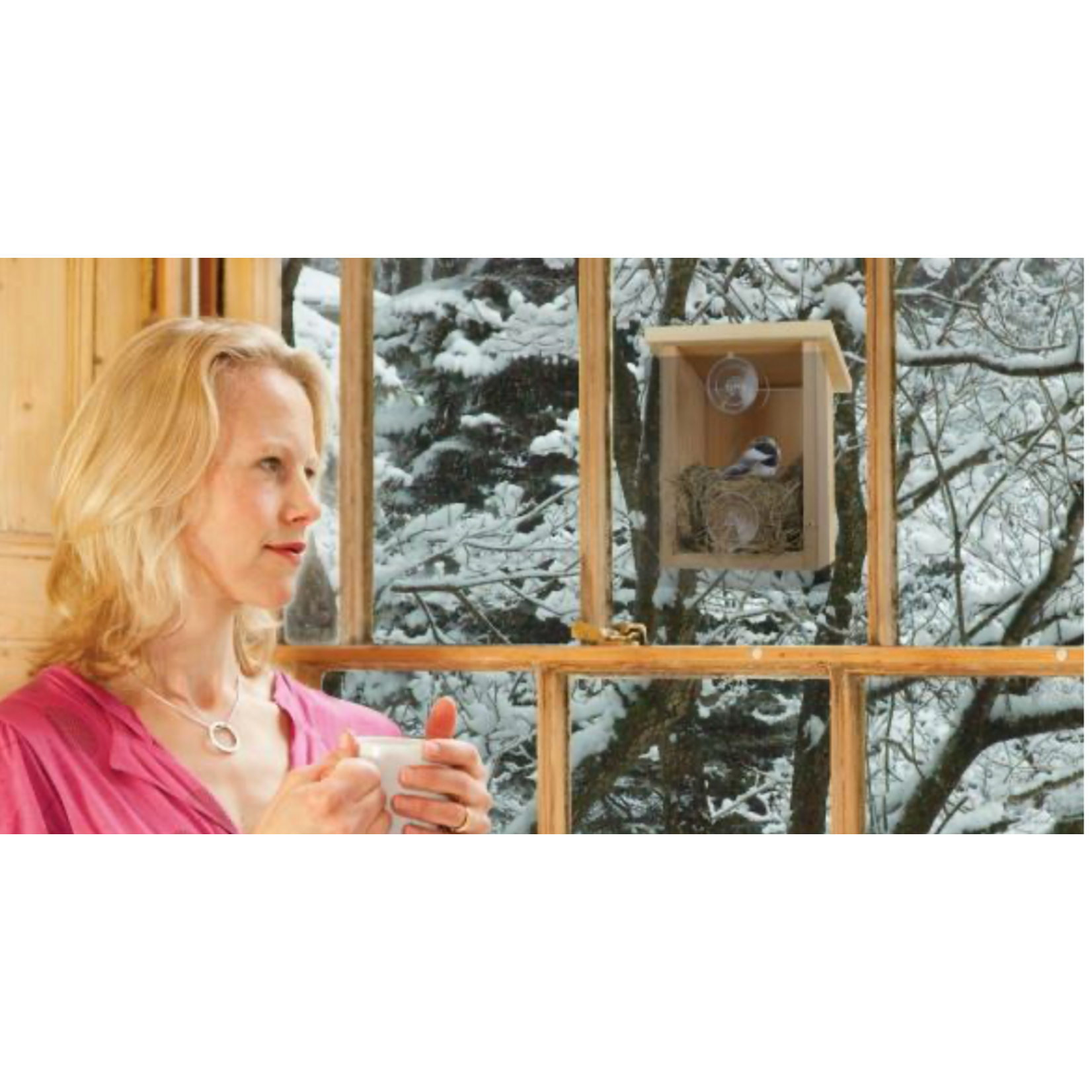 Nest View Bird House with Window Film