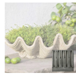 Campania South Seas Planter-Shell