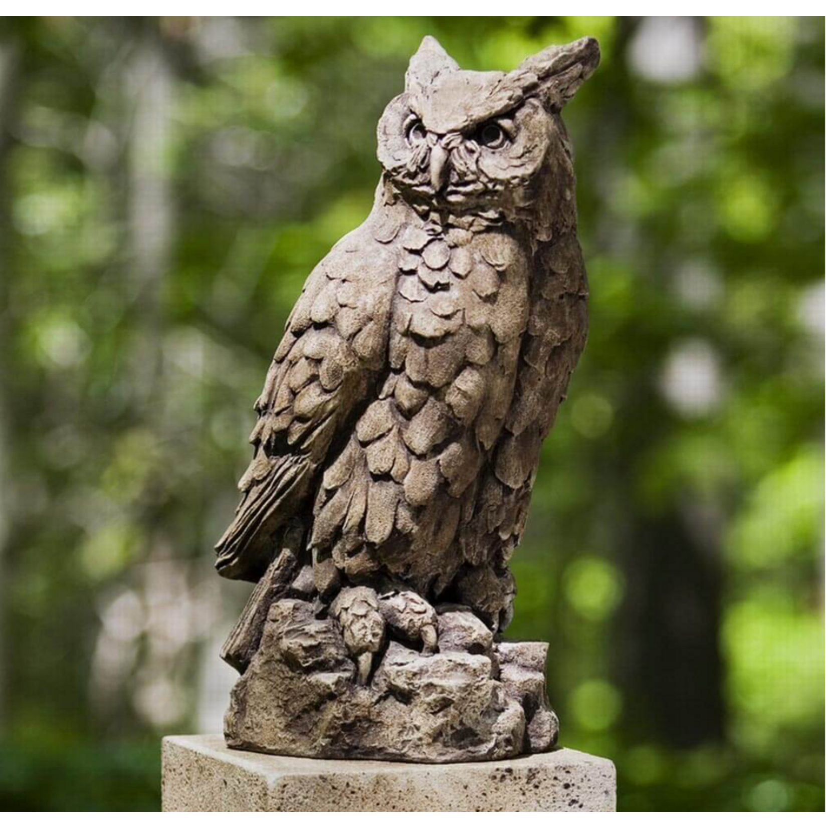 Campania Large Horned Owl