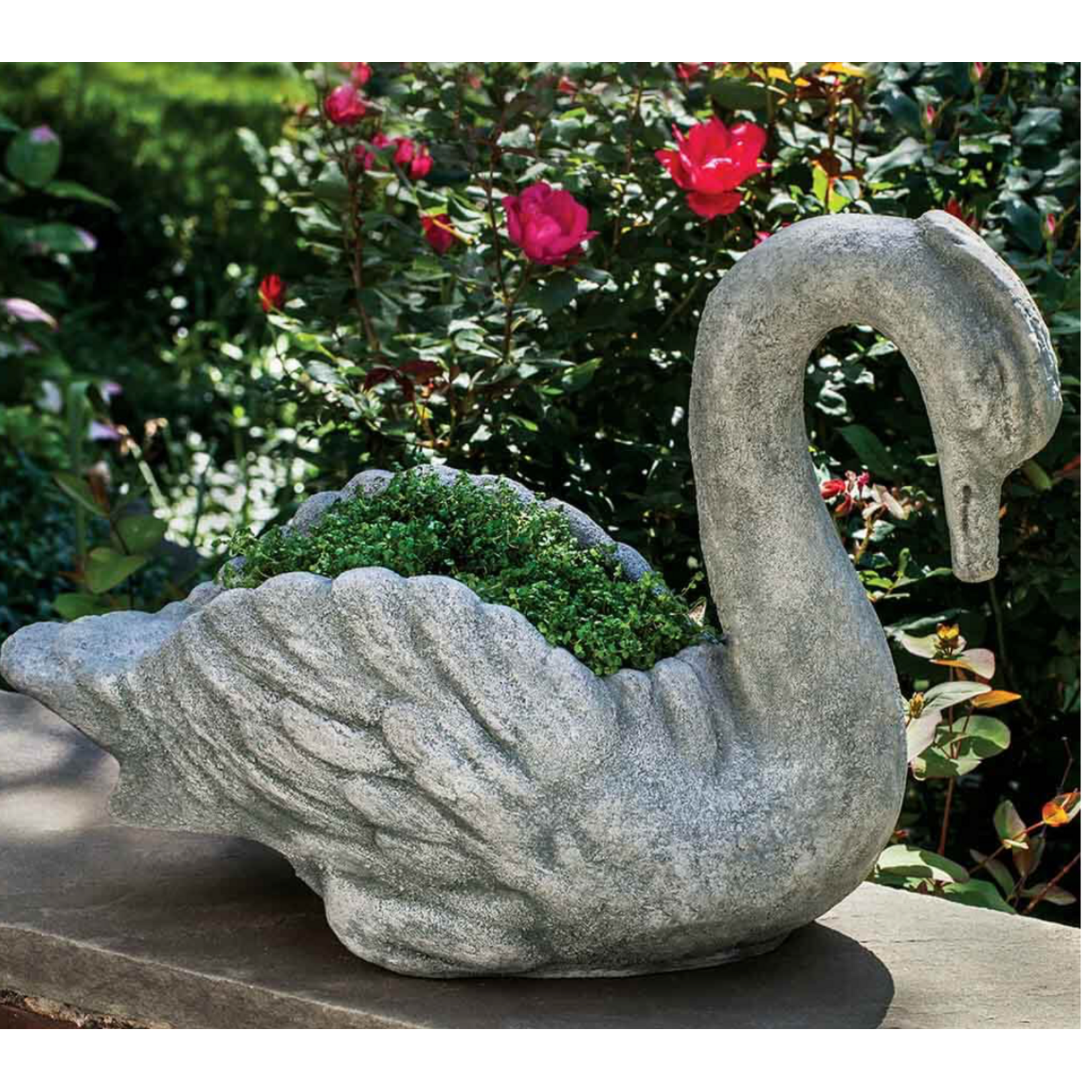 Campania Newport Swan Planter
