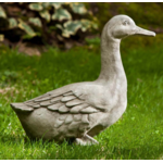 Campania Quackers Duck