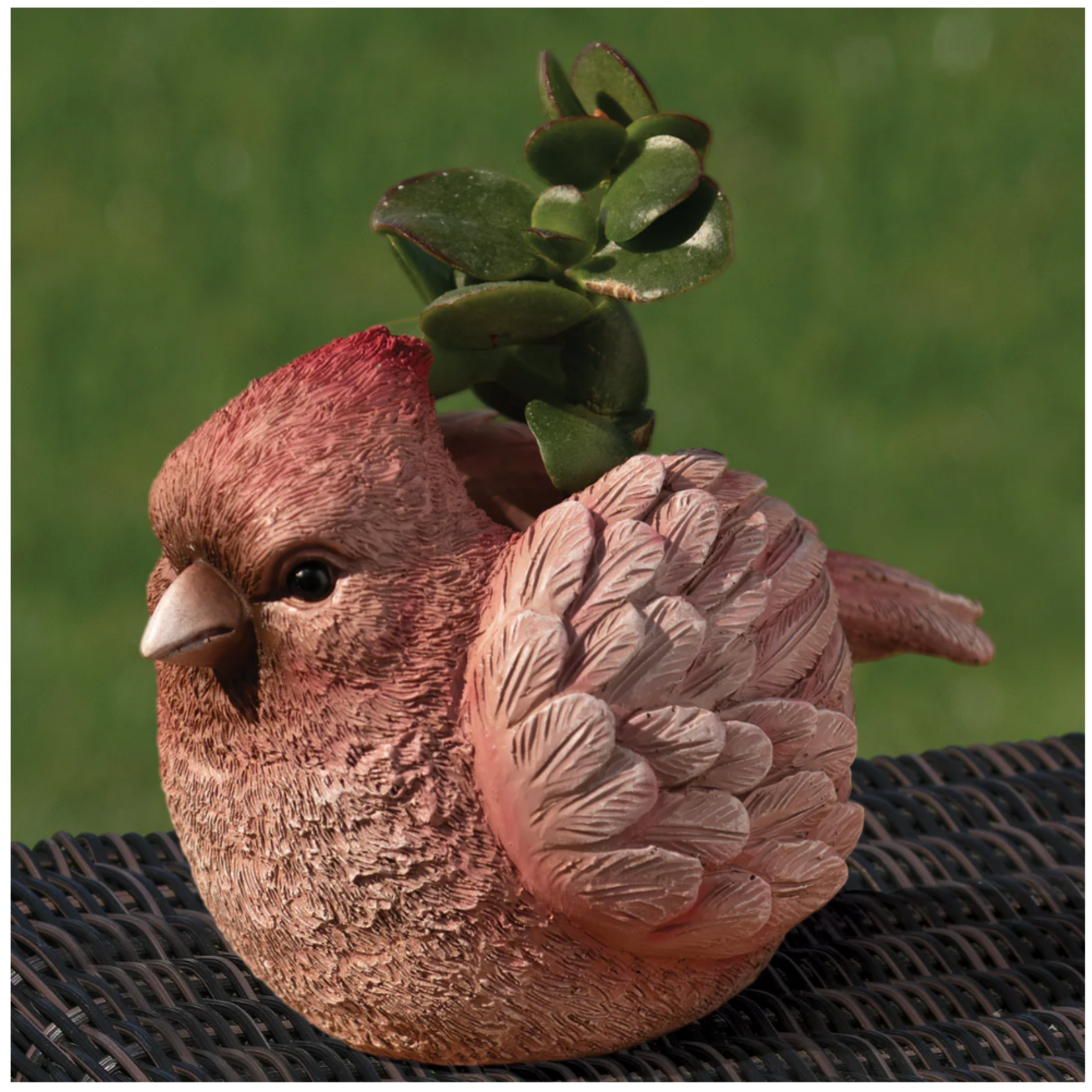 Pudgy Pals Cardinal Mini Planter