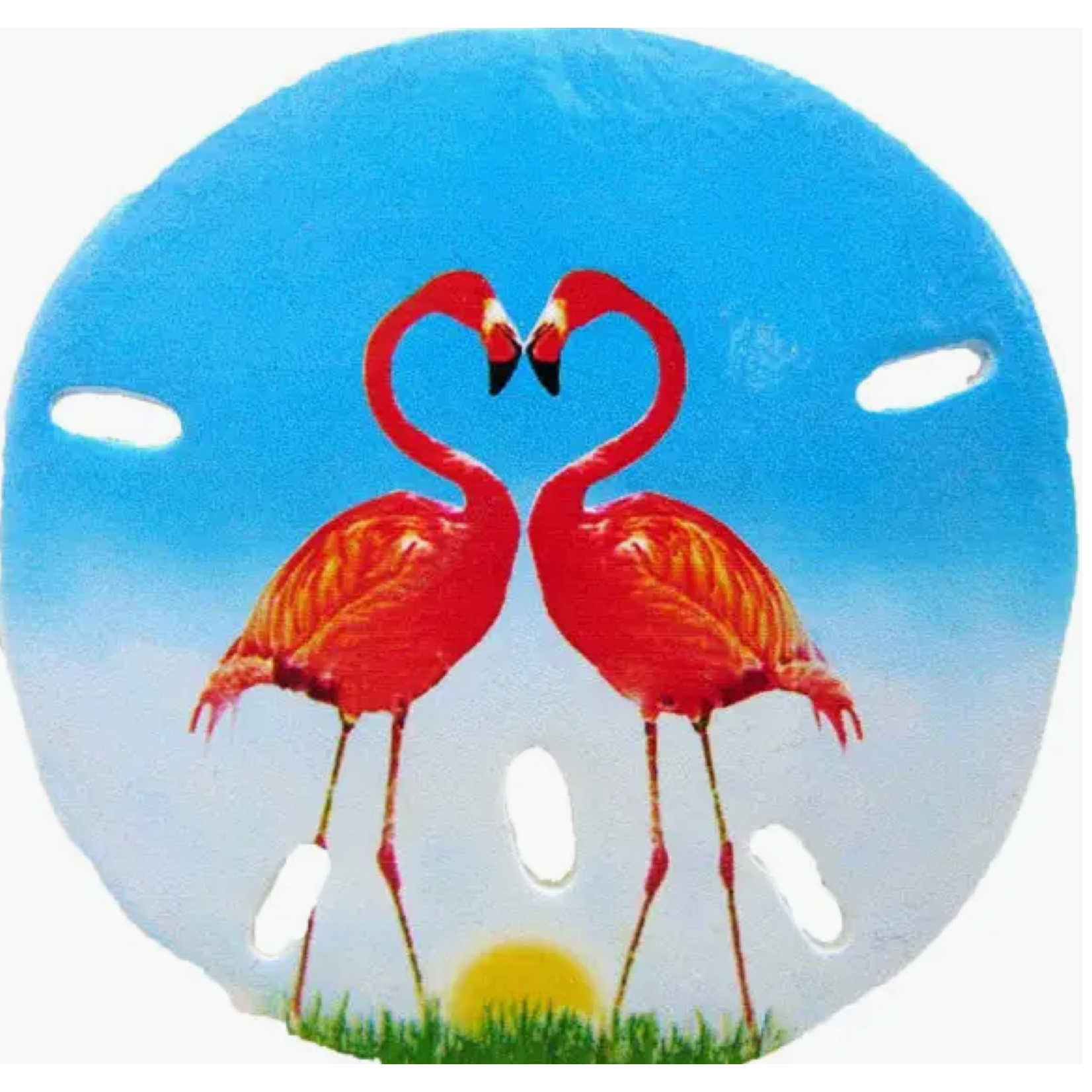 Sea Creations Sand Dollar Magnet - Flamingo "Mystic CT"