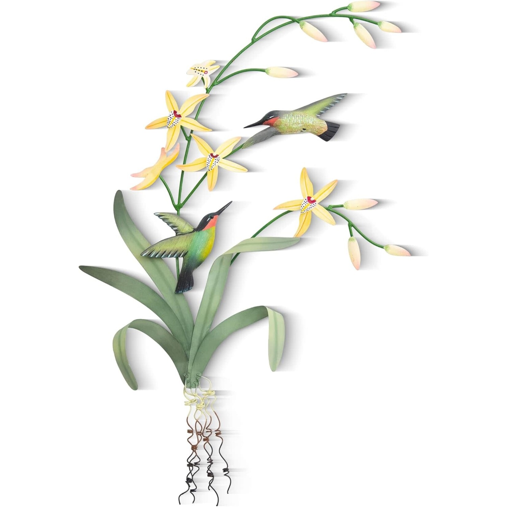 Hummingbird Branch Med