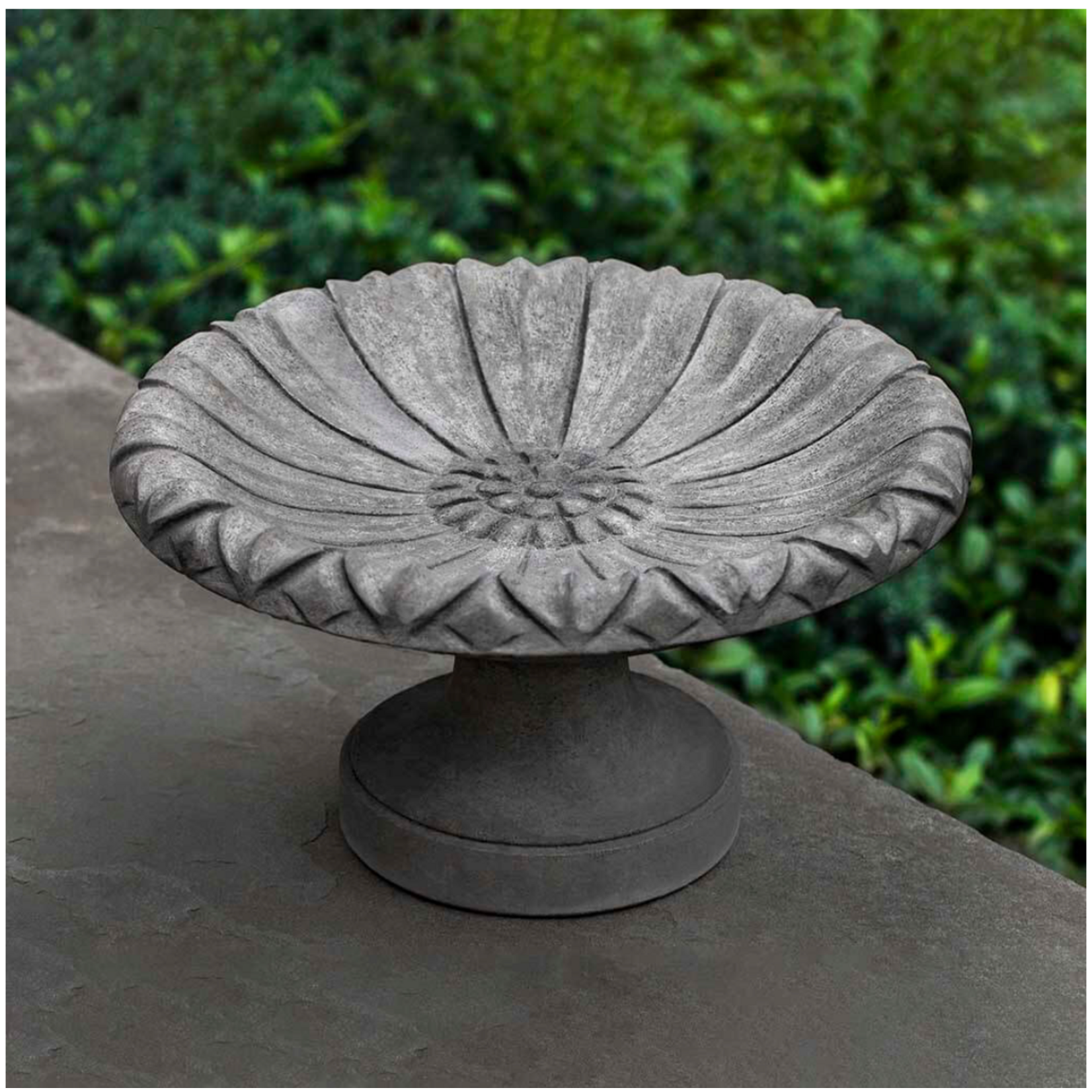 Campania Lotus Birdbath - Small