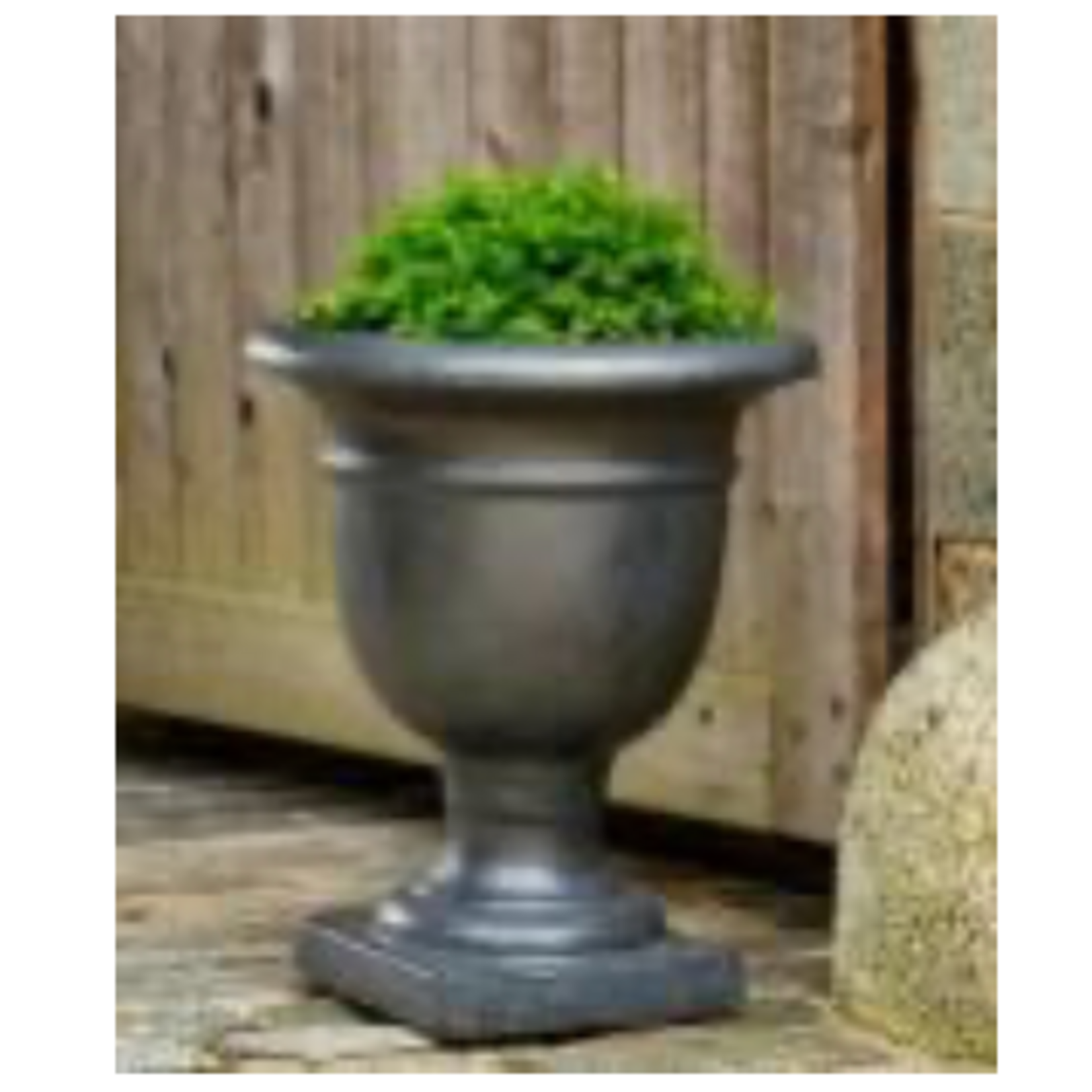 Campania Beldon Um-Graphite