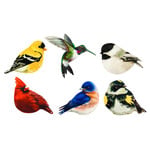 Bird Screen Saver