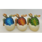 Sea Creations Turtle Egg - Mystic CT