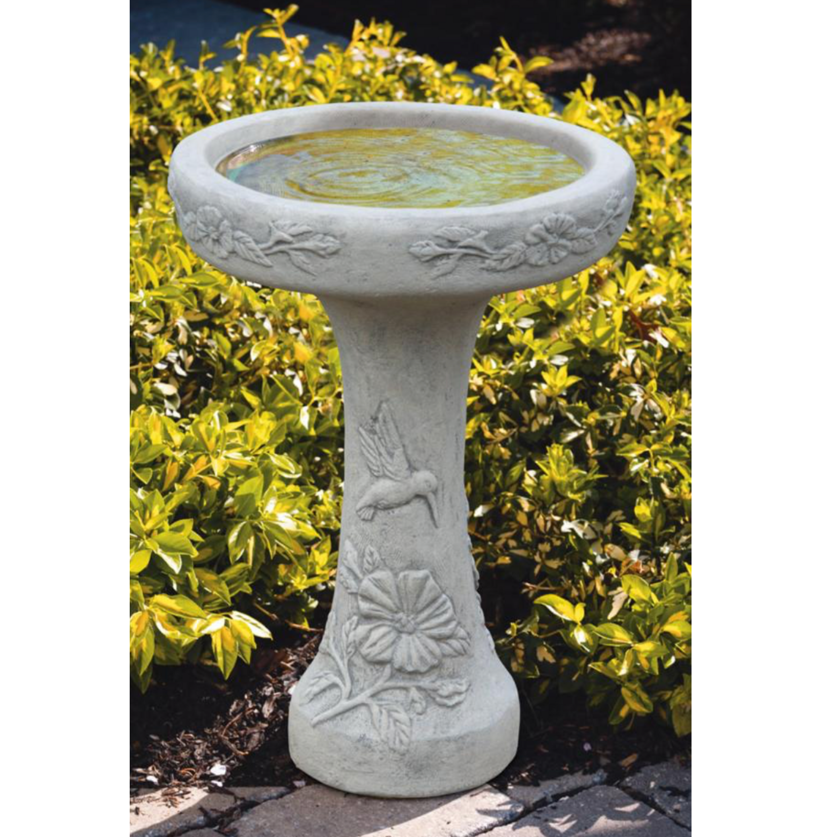 Massarelli Stone One Piece Hummingbird Bird Bath