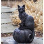 Campania Black Cat on Pumpkin