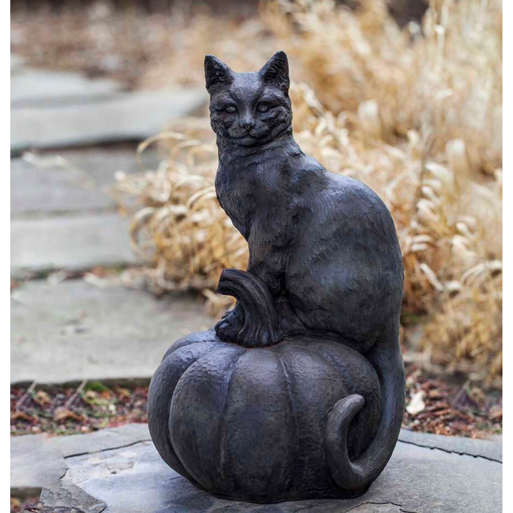 Campania Black Cat on Pumpkin