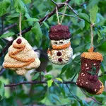 Christmas Shapes Bird Seed Singles